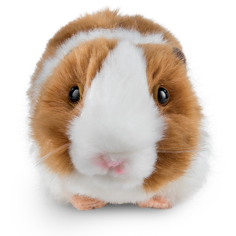 Brown Guinea Pig with Sound