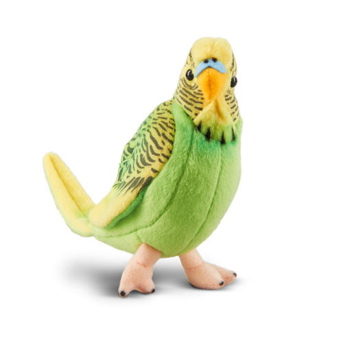 Yellow Budgerigar with Sound