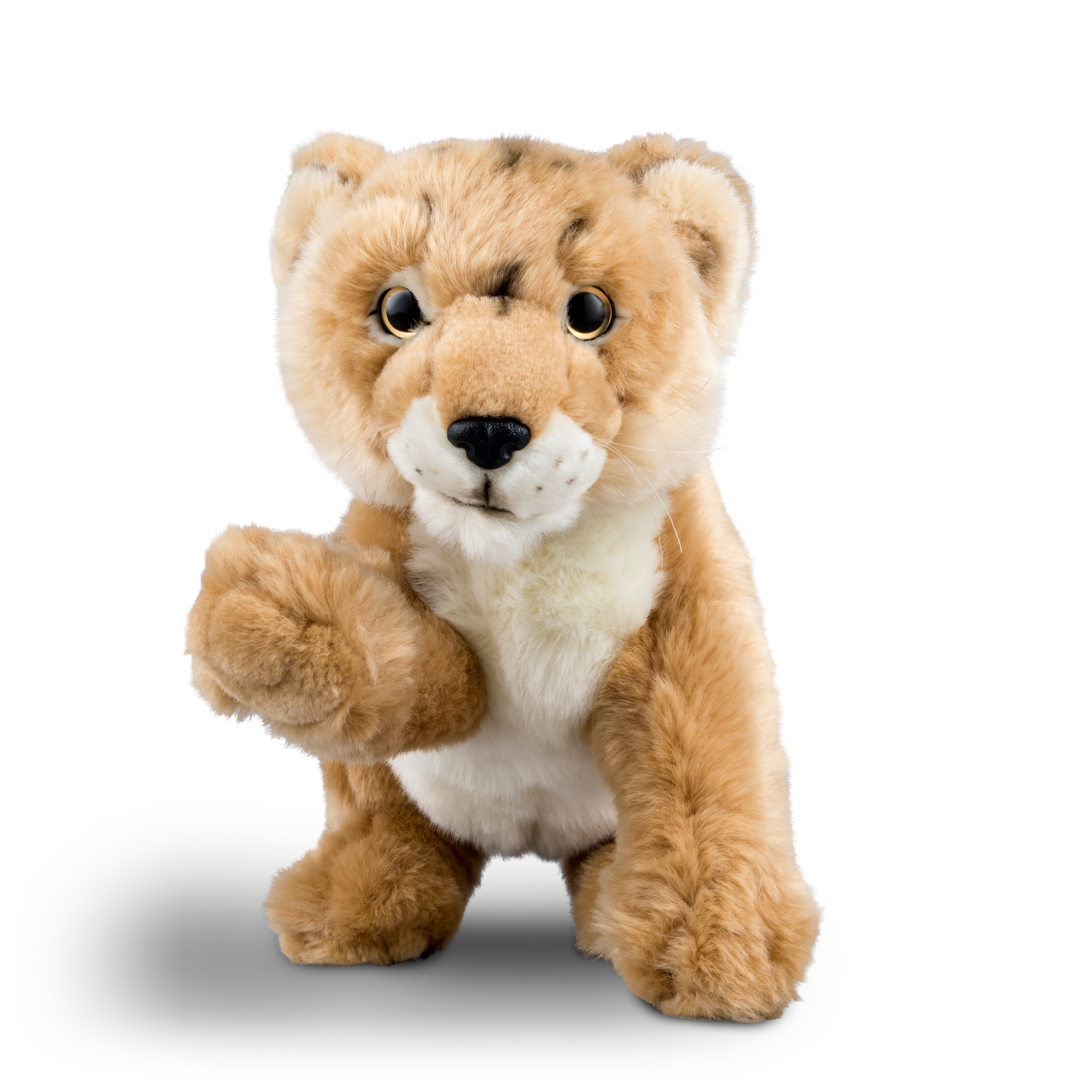 Lion cub deals stuffed animal