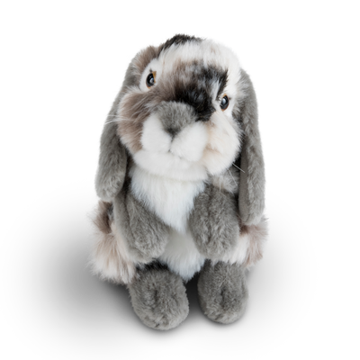 Grey Sitting Lop Eared Rabbit