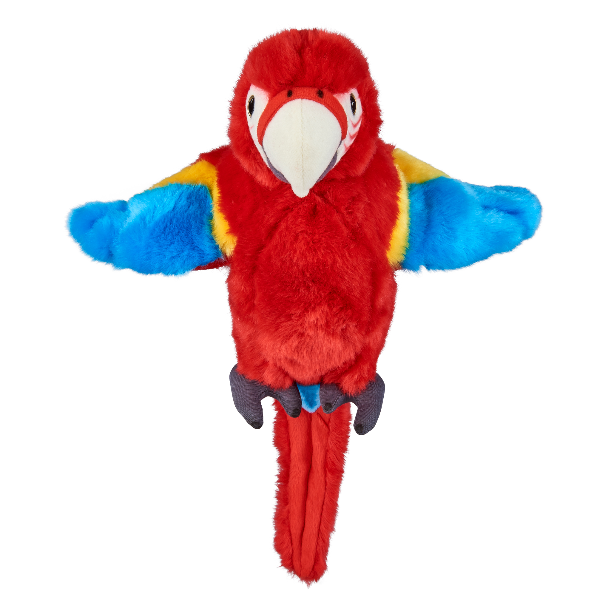 Red Macaw