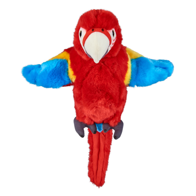 Red Macaw