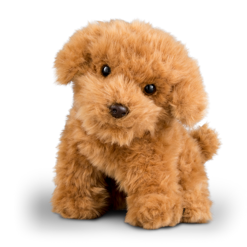 Cavapoo