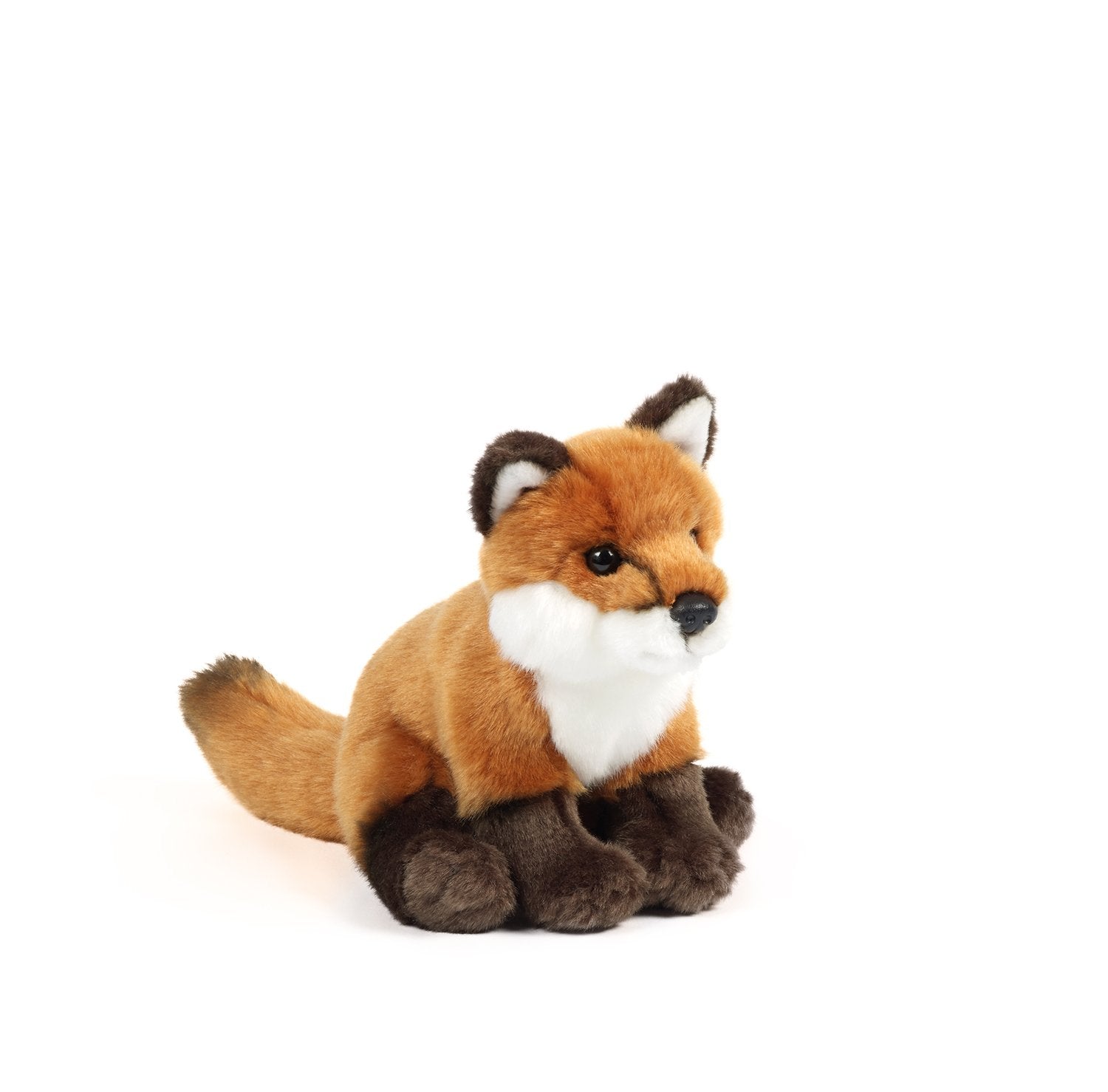 Sitting Fox