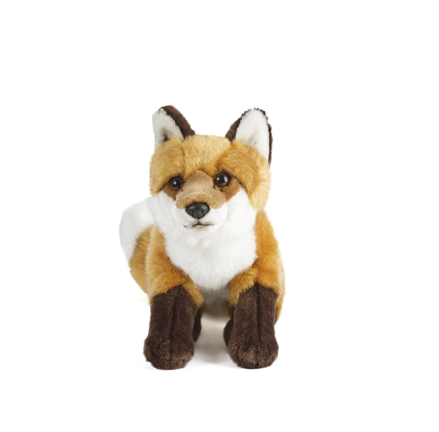 Sitting Fox