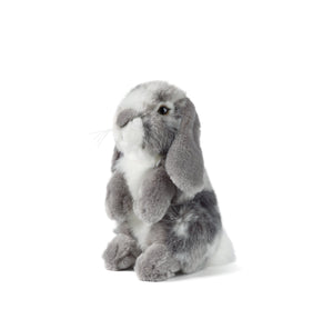 Grey Sitting Lop Eared Rabbit