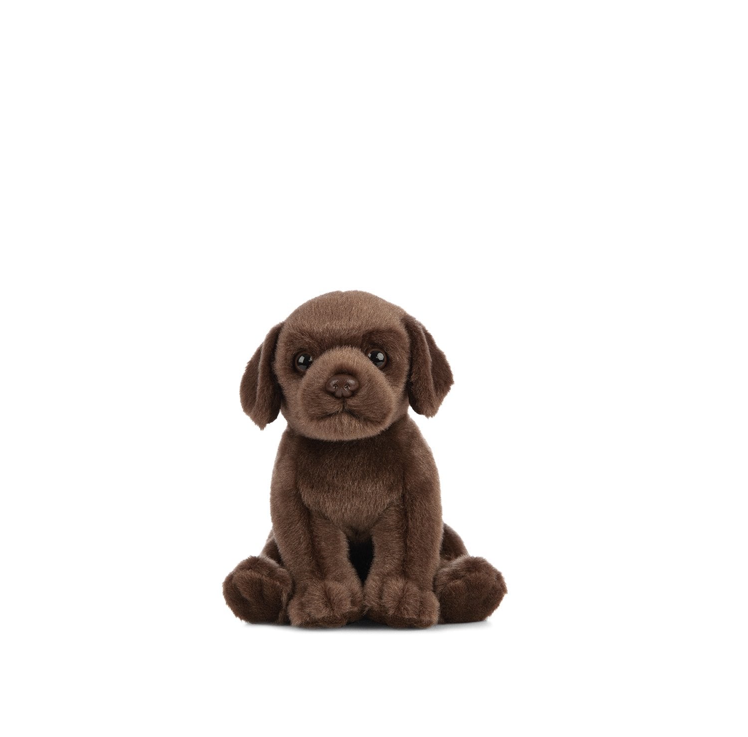 Chocolate discount labrador toy